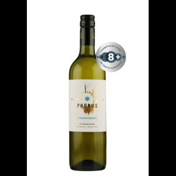 Phebus Chardonnay Mendoza